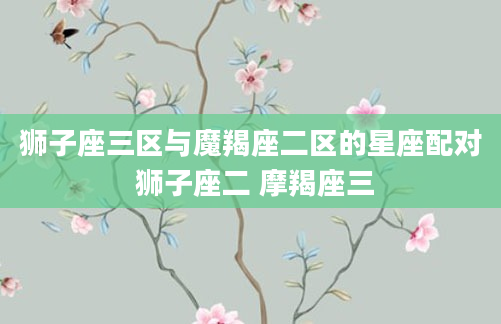 狮子座三区与魔羯座二区的星座配对 狮子座二 摩羯座三