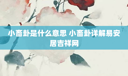 小畜卦是什么意思 小畜卦详解易安居吉祥网