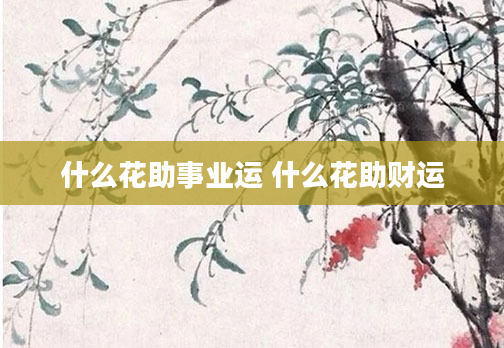 什么花助事业运 什么花助财运
