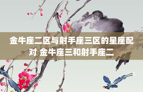 金牛座二区与射手座三区的星座配对 金牛座三和射手座二