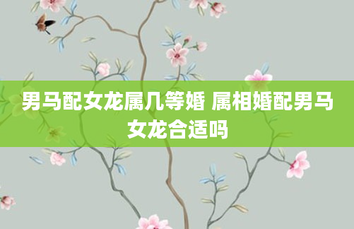 男马配女龙属几等婚 属相婚配男马女龙合适吗