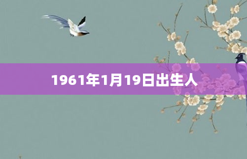 1961年1月19日出生人