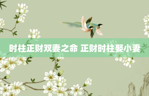 时柱正财双妻之命 正财时柱娶小妻