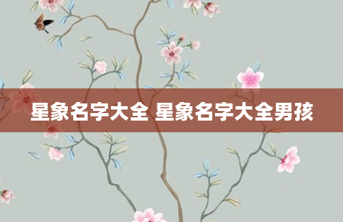 星象名字大全 星象名字大全男孩