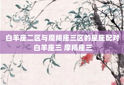 白羊座二区与魔羯座三区的星座配对 白羊座三 摩羯座三