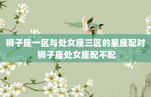 狮子座一区与处女座三区的星座配对 狮子座处女座配不配