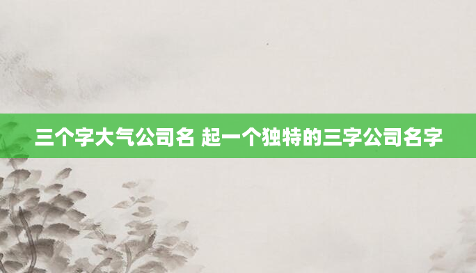 三个字大气公司名 起一个独特的三字公司名字