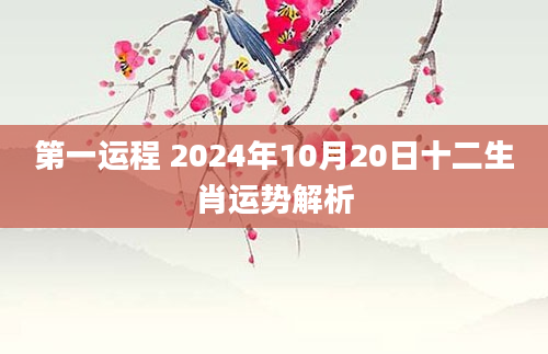 第一运程 2024年10月20日十二生肖运势解析