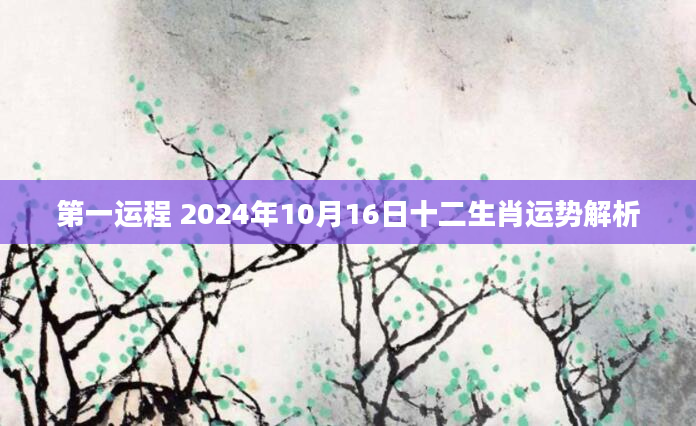 第一运程 2024年10月16日十二生肖运势解析