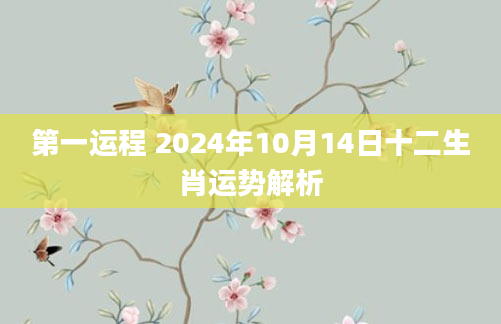 第一运程 2024年10月14日十二生肖运势解析
