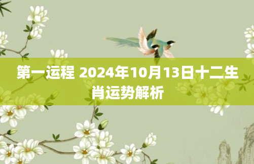 第一运程 2024年10月13日十二生肖运势解析