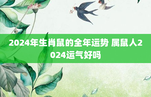 2024年生肖鼠的全年运势 属鼠人2024运气好吗