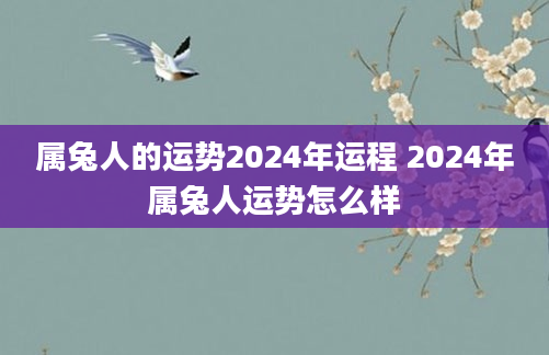 属兔人的运势2024年运程 2024年属兔人运势怎么样