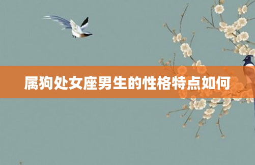 属狗处女座男生的性格特点如何