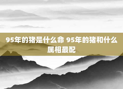 95年的猪是什么命 95年的猪和什么属相最配