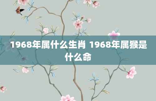 1968年属什么生肖 1968年属猴是什么命