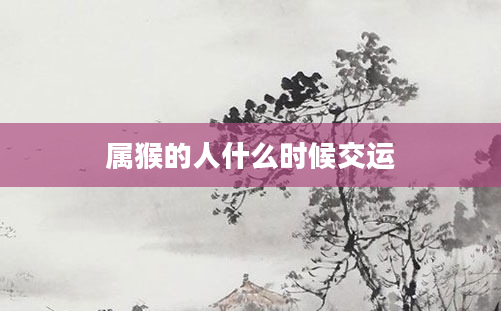 属猴的人什么时候交运