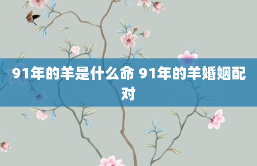 91年的羊是什么命 91年的羊婚姻配对