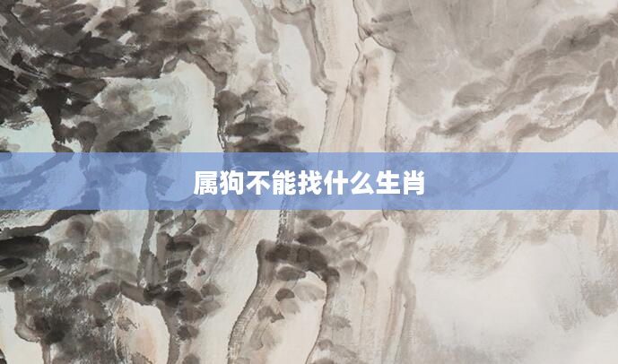 属狗不能找什么生肖