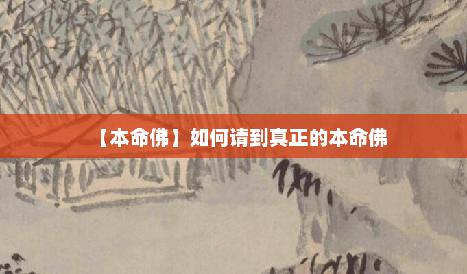 【本命佛】如何请到真正的本命佛