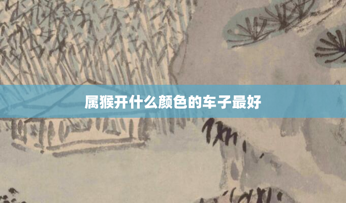 属猴开什么颜色的车子最好