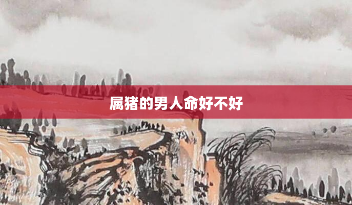 属猪的男人命好不好