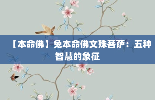【本命佛】兔本命佛文殊菩萨：五种智慧的象征