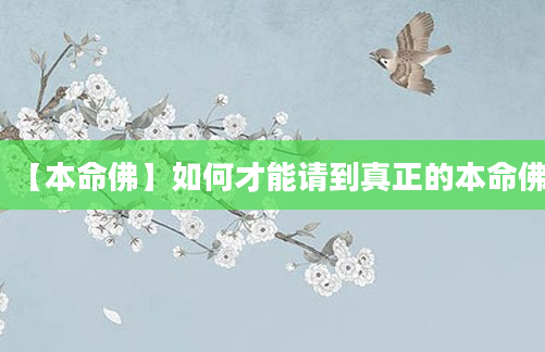 【本命佛】如何才能请到真正的本命佛