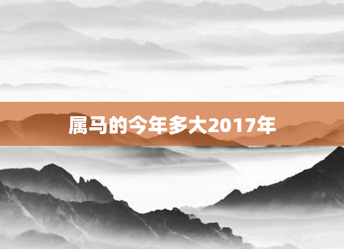 属马的今年多大2017年