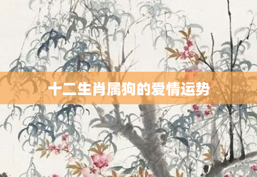 十二生肖属狗的爱情运势
