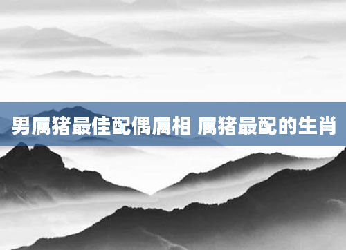 男属猪最佳配偶属相 属猪最配的生肖