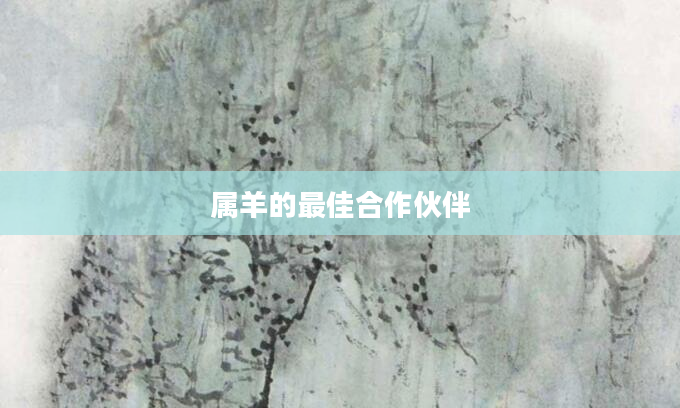 属羊的最佳合作伙伴