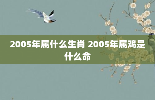 2005年属什么生肖 2005年属鸡是什么命