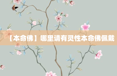 【本命佛】哪里请有灵性本命佛佩戴