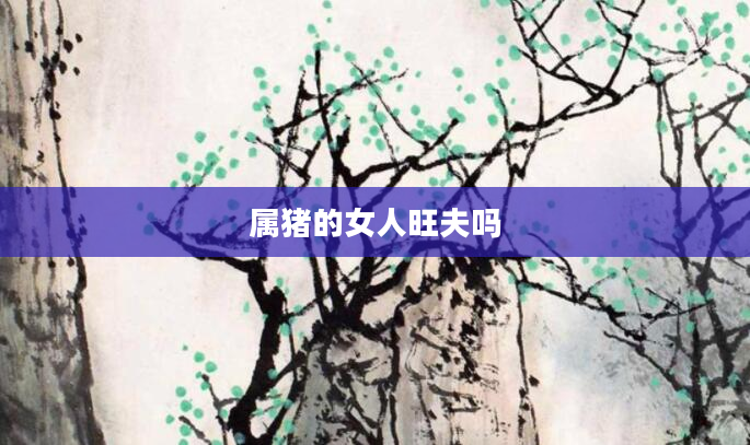 属猪的女人旺夫吗