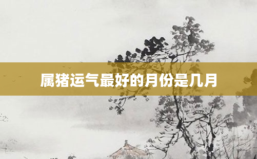 属猪运气最好的月份是几月
