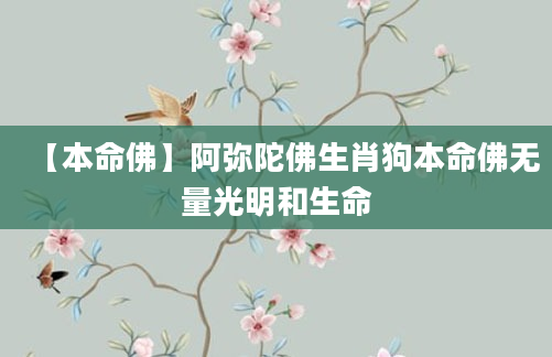 【本命佛】阿弥陀佛生肖狗本命佛无量光明和生命