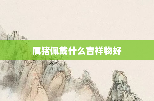 属猪佩戴什么吉祥物好