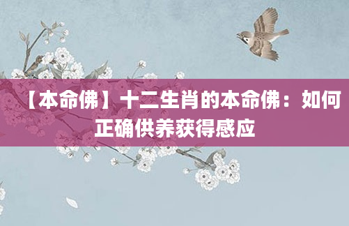 【本命佛】十二生肖的本命佛：如何正确供养获得感应