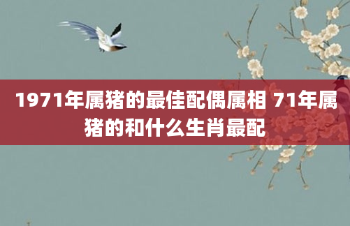 1971年属猪的最佳配偶属相 71年属猪的和什么生肖最配