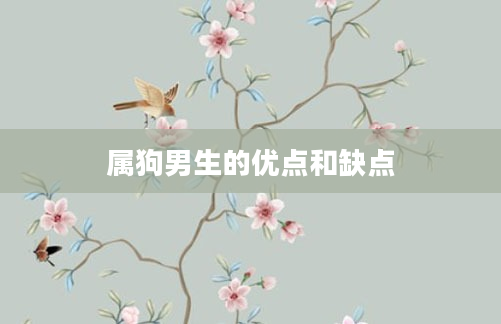 属狗男生的优点和缺点