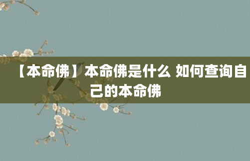 【本命佛】本命佛是什么 如何查询自己的本命佛