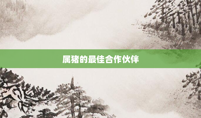 属猪的最佳合作伙伴