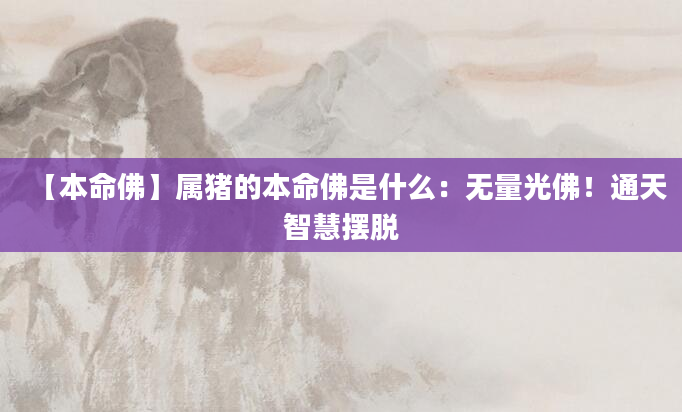 【本命佛】属猪的本命佛是什么：无量光佛！通天智慧摆脱
