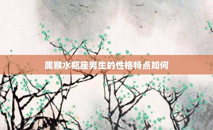 属猴水瓶座男生的性格特点如何