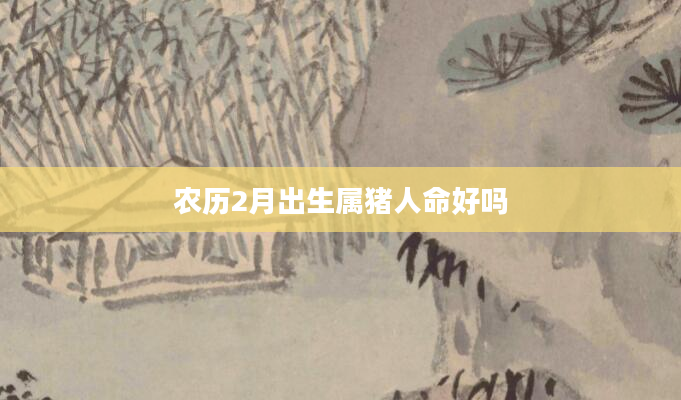 农历2月出生属猪人命好吗