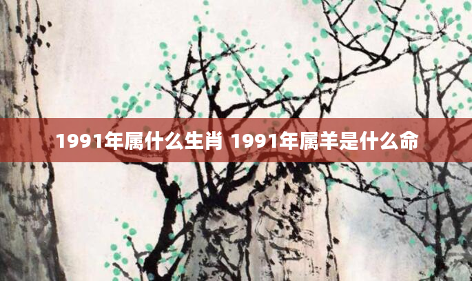 1991年属什么生肖 1991年属羊是什么命