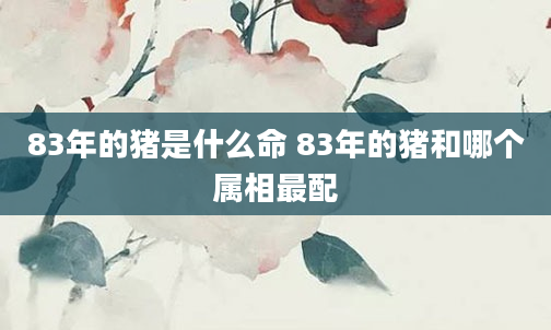 83年的猪是什么命 83年的猪和哪个属相最配