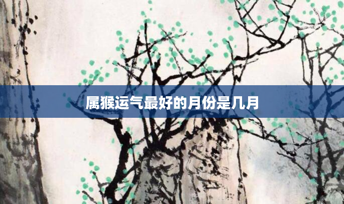 属猴运气最好的月份是几月