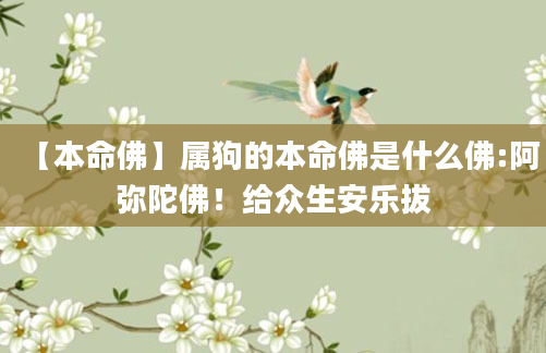 【本命佛】属狗的本命佛是什么佛:阿弥陀佛！给众生安乐拔
